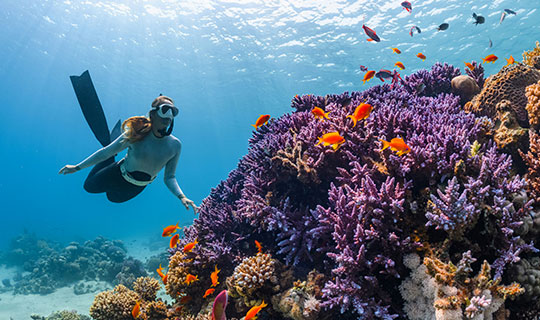 The Vijitt Resort Phuket | Discover Reef-Safe Snorkeling Adventures | Ocean Conservation